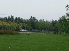 android_upload_pic-蒲河岛湿地公园