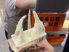 -野人先生现做冰淇淋(西安赛格店)