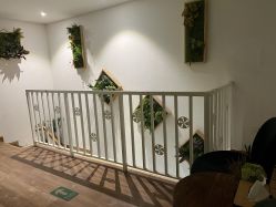 点击看大图 -薇薇安花系SPA
