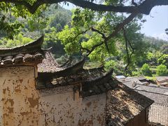 -杨家堂村