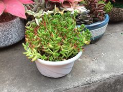 -江燕路万科里