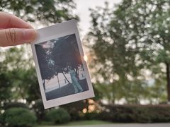 -橘子洲景区
