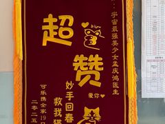 -瑞派申生动物医院·24H夜诊·国际动物医疗中心·骨外科(吴中路店)