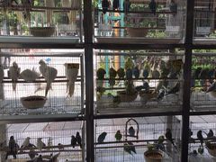 -宠爱我(南山店)