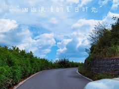 -武陵山森林公园