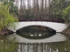 -东平国家森林公园