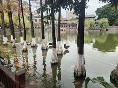 -东莞市可园博物馆