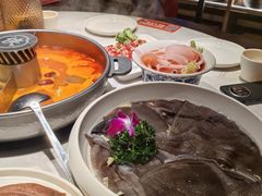 -蜀大侠火锅(总府路店)