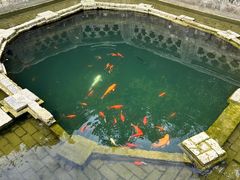 -习家池
