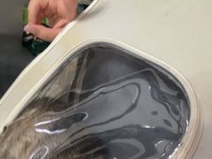 -福懋动物医院·犬猫全科·外科·重症科(杏林分院)