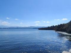 -洱海月湿地公园