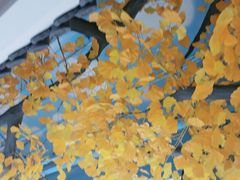 -食悦江南·淮扬菜·烤鸭(亚运村·惠新店)