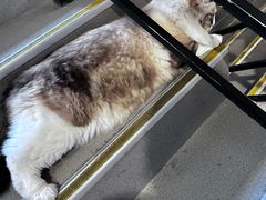 -白兔子密室(长寿路店)