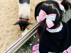 -前小桔亲子创意农场·草莓采摘·露营烧烤