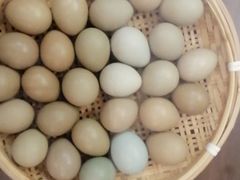 -黄金寨原生态旅游区