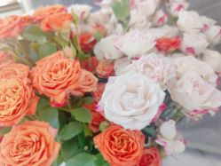 -雅曼妮spa美容养生