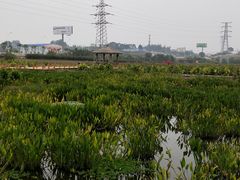 -那考河湿地公园