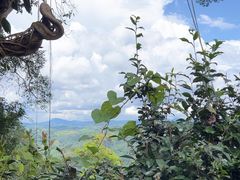 -西双版纳基诺山寨