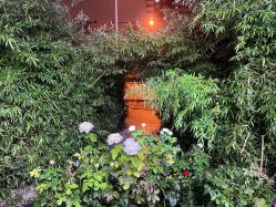 -酉嘉瑜伽YO+YOGA