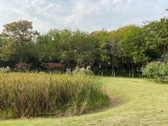 -后襄河公园
