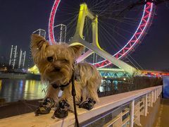 -爱宠屋pet shop·宠物洗澡·宠物美容