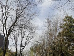 -唐城墙遗址公园