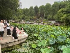 -莲湖公园