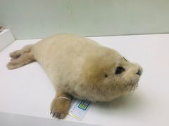 -国家自然博物馆