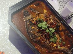 -巴特餐饮6加1音乐餐吧·新疆菜