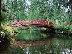 -合肥滨湖国家森林公园