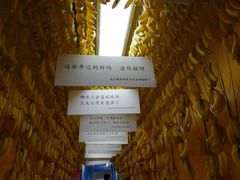 -上海外滩星空失恋减压馆(外滩旗舰馆)