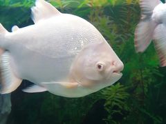 -常州海昌海洋探索馆