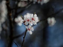 -居庸关长城