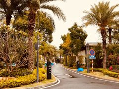 -西青郊野公园