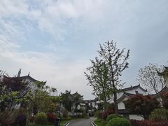 -花博汇(知音花月夜)