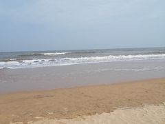 -日照海滨国家森林公园