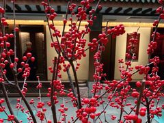 -梅龙镇酒家(南京西路总店)