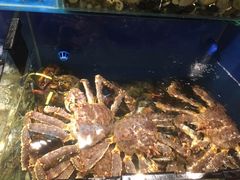 -麦当劳(红旗路店)