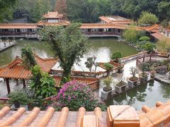 -深圳仙湖植物园