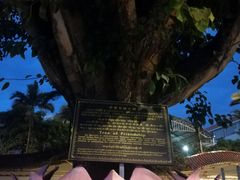 -瑞丽口岸免税店