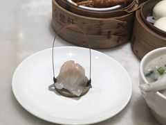 -金鼎轩(方庄天坛店)
