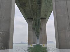 -中澳友谊花园