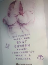 -玛丽亚妇产医院