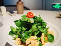 醋汁田七苗-逸道(益丰·外滩源店)