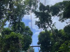 -七仙岭温泉国家森林公园