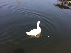 -白塘生态植物园