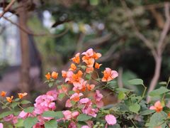 -南通洲际绿博园