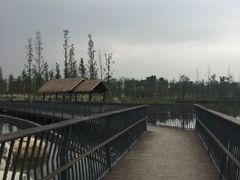 -白鹭湾湿地公园