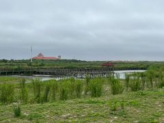 -碧海金沙