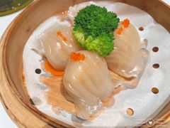 虾饺皇-渔人码头(中南店)